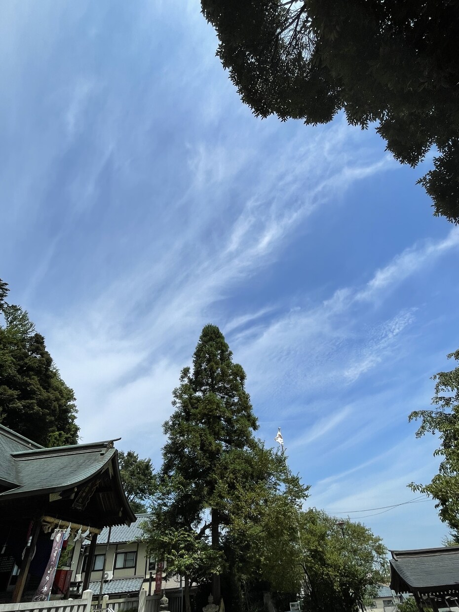 古神道【秘言・口伝】の禊祓詞と龍神祝詞伝授します ★著名霊能者直伝★神様の遣いをされるヒーラー・セラピスト向け イメージ9