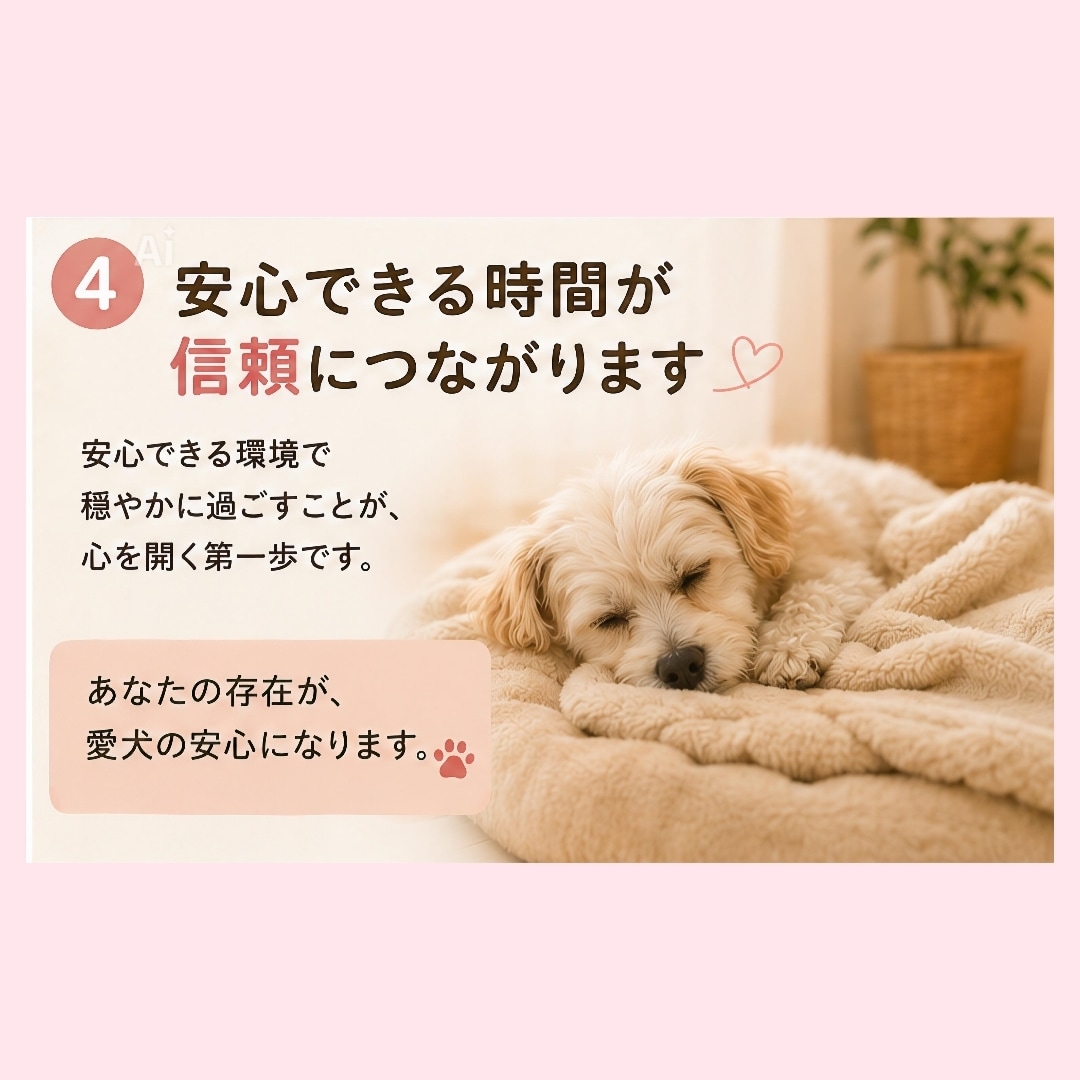 保護犬との暮らしを優しくサポートします 成犬からのお迎えも安心してご相談ください イメージ4