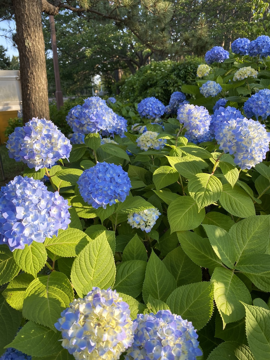 肯定します 自信を無くしてしまったら是非。 イメージ1