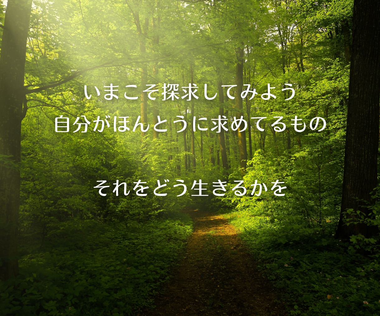あなたのほんとうの生き方についてチャネリングします 昔から何となくそう思っていた気もちを確認してみませんか？ イメージ6