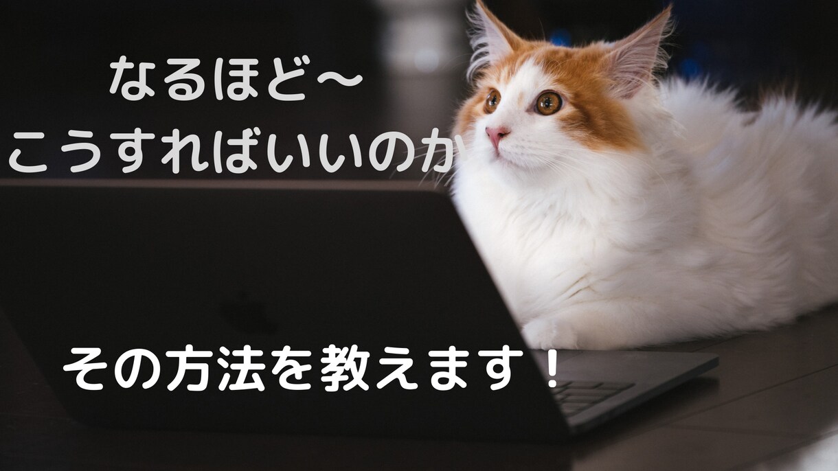 Twitterでマネタイズする方法教えます 自分で実践し初心者を脱出したマネタイズ法です イメージ3
