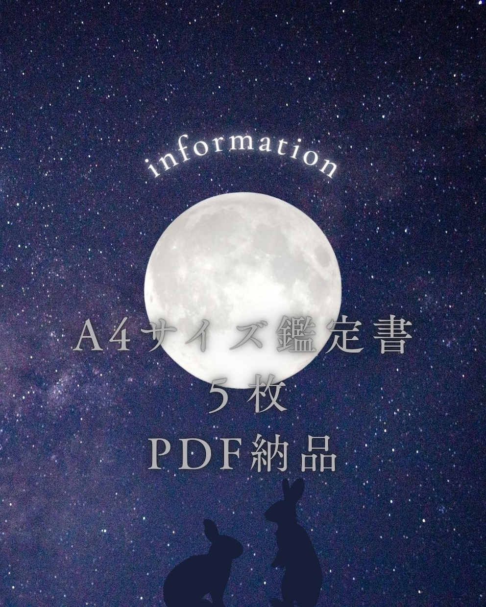 あなた本来の人生の“強み”と輝く“未来”を導きます インド占星術で導く“魂の設計図”から人生の迷いを拭いましょう イメージ2
