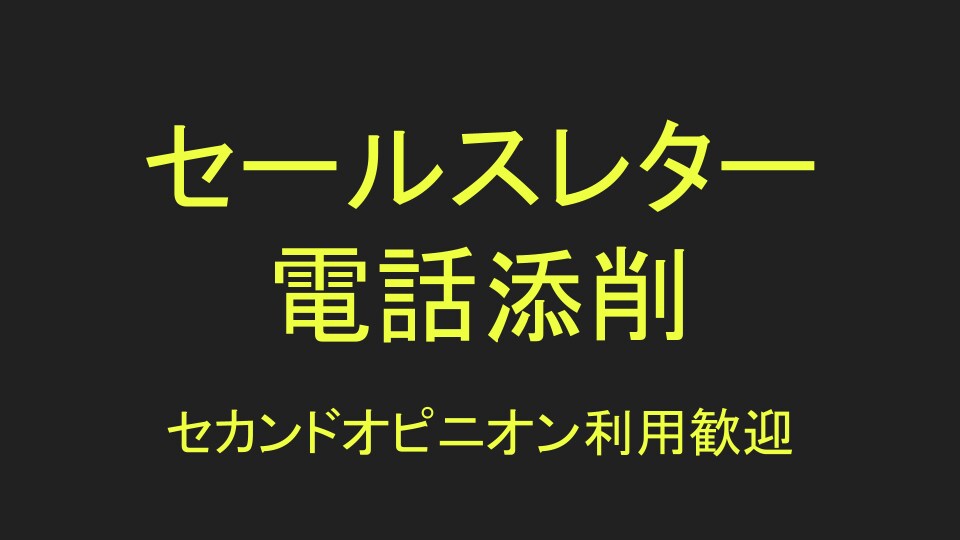 セールスレター・ランディングページを添削します 先着20枠に限り66%OFF！セカンドオピニオン歓迎！ イメージ1