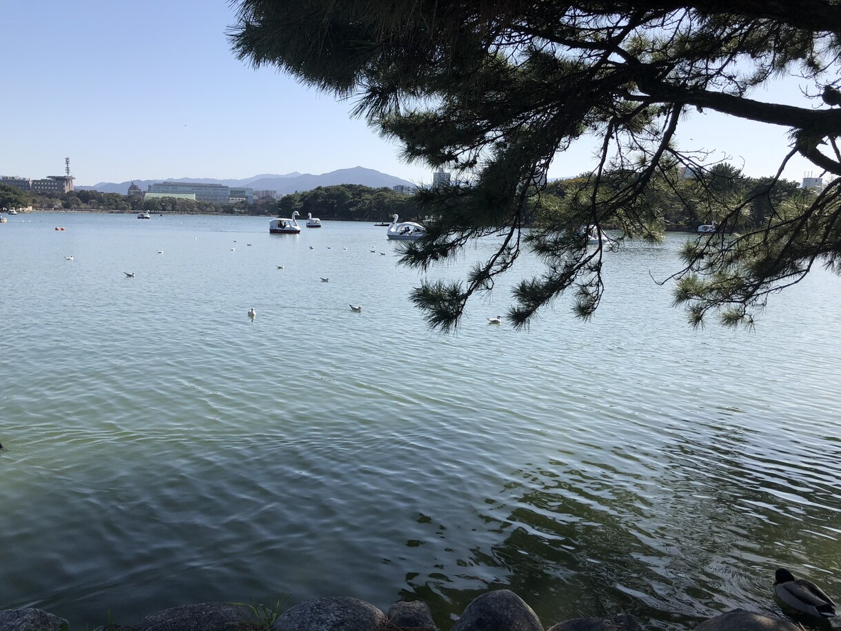 もう吐きたくない！自分を許す方法を教えます 誰にも相談出来ない悩みがある、そんなアナタへ イメージ2