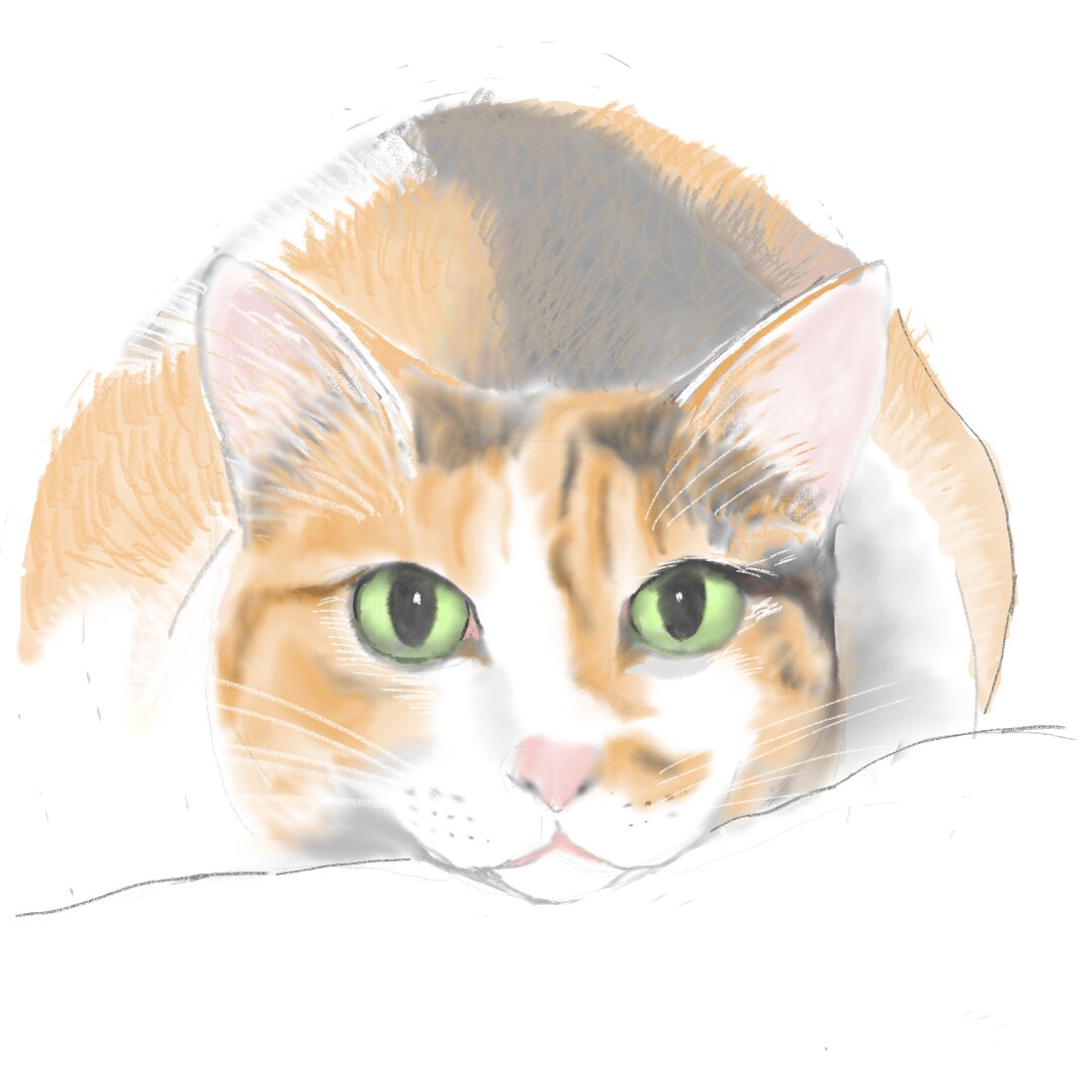 イラスト制作します リアルな猫のイラストを描きます イメージ5