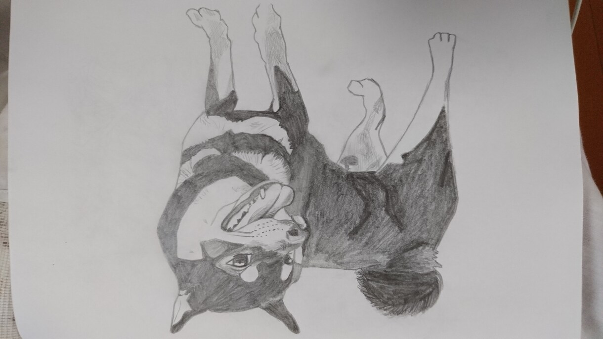 あなたの大事なペット、大事な人の絵を描きます 思い出を残したいあなたにおすすめです。 イメージ7