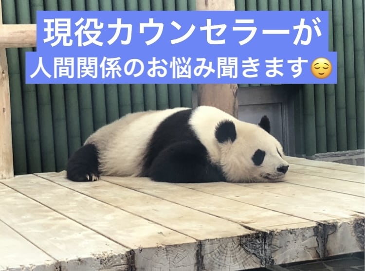 現役カウンセラーが人間関係のお悩み聞きます 職場、友人、親など様々な人間関係の問題のお話聞きます イメージ1