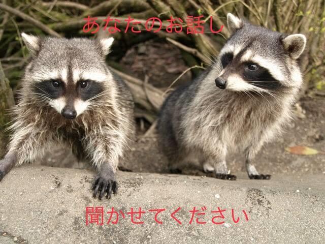 メールで不安、愚痴、悩み相談のります 悩み相談、話し相手なんでもいいですよ イメージ1