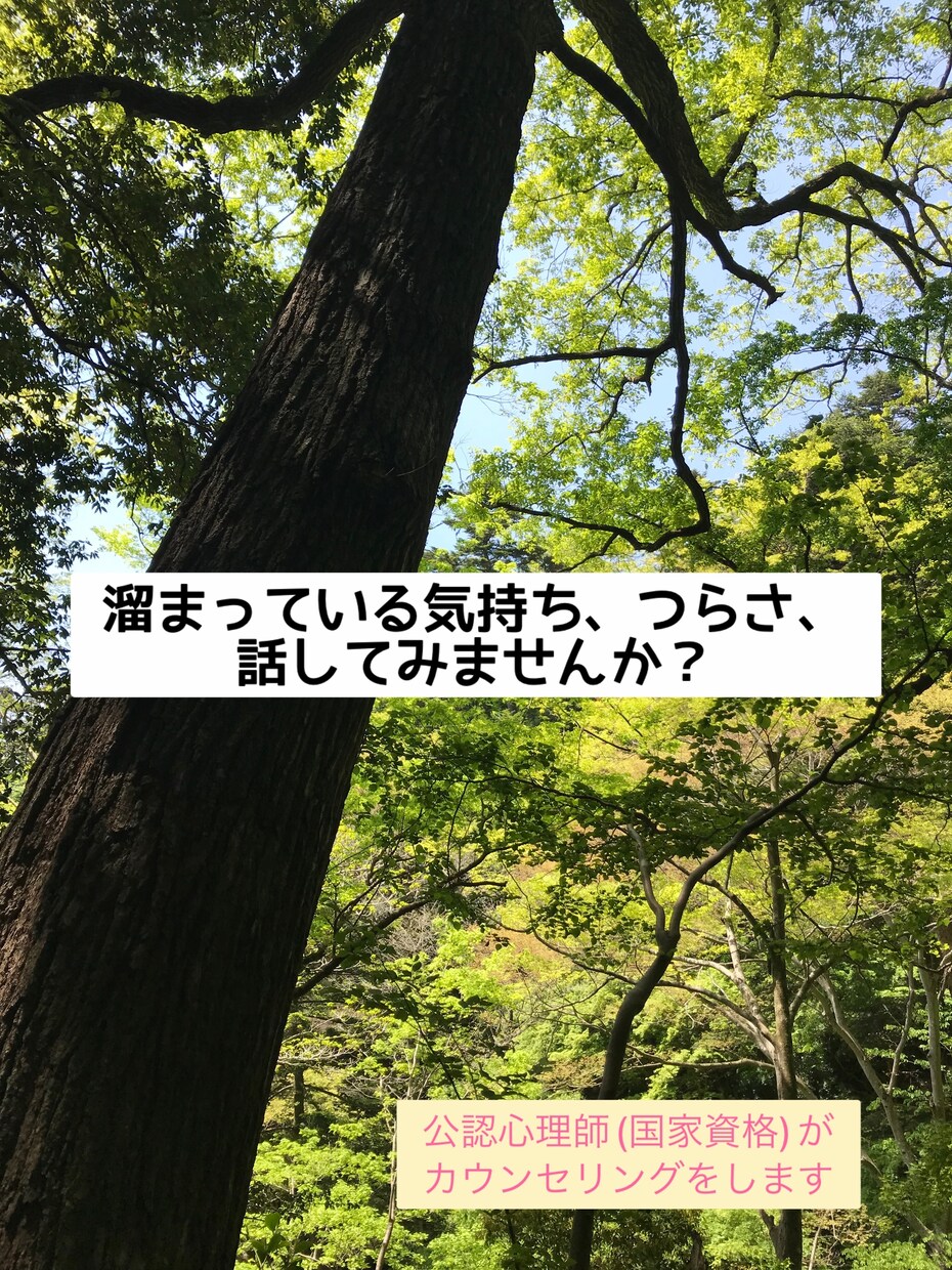 公認心理師がカウンセリングをします 心理のことであればどんなご相談でも大丈夫です! イメージ1