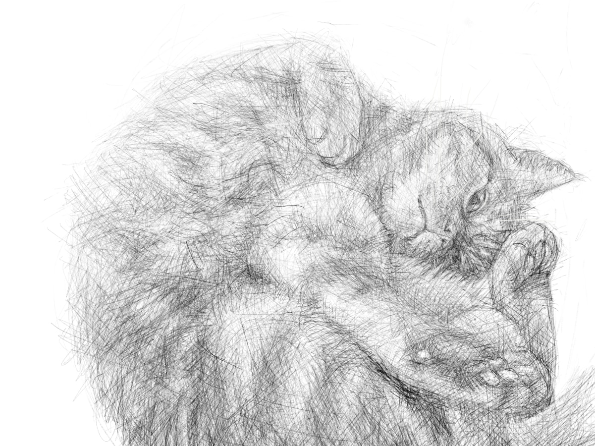 先着3件20%オフ☆リアル系イラスト描きます 目に留まりやすい、リアル系や味のあるイラストを制作します。 イメージ4