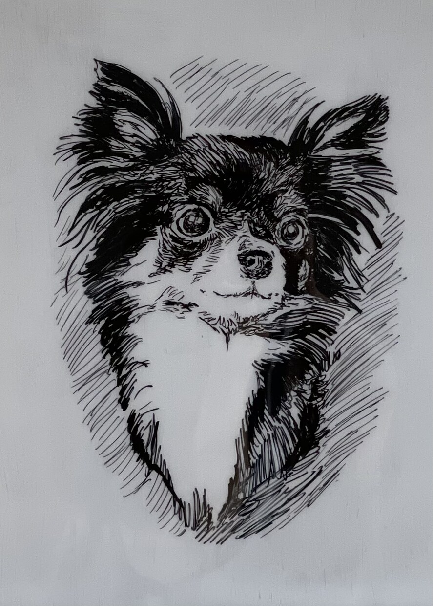 あなたのペットの写真からイラストを描きます キャッチーなコピーも併せて提供させて頂きます。 イメージ4