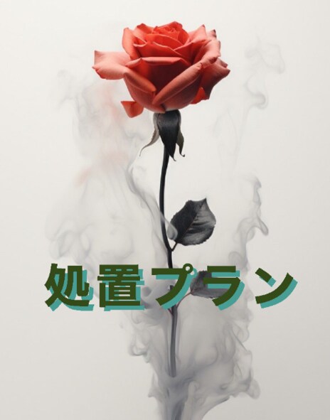 処置プラン★言葉の処方箋と心の設計図をお届けします 医療者が解き明かすエゴグラム×言葉の薬＝設計図 イメージ1