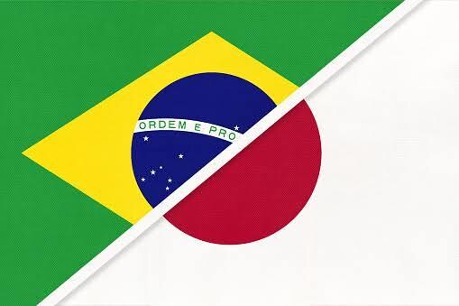 日本語↔️ポルトガル語翻訳資料作成します これブラジル人にも理解して欲しいなぁ！のスペシャリスト イメージ1
