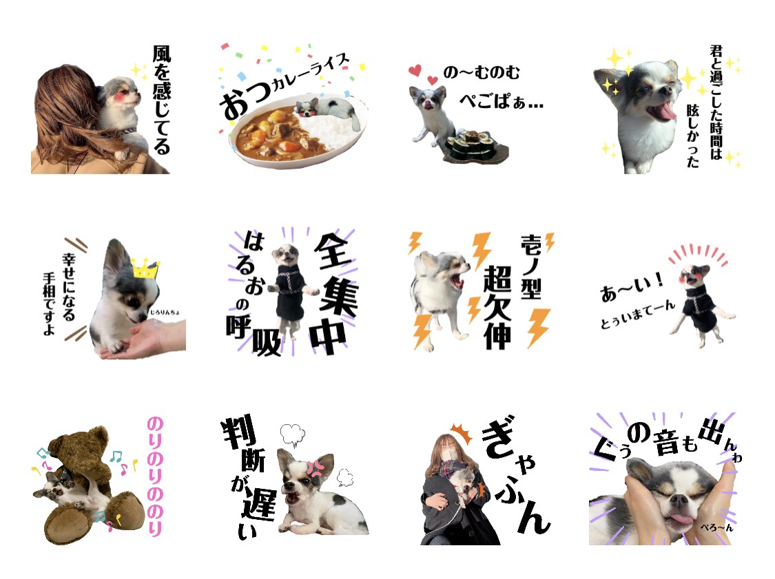 お子さまや愛犬のLINEスタンプ作成します ほっこり笑っちゃう日常で使えるスタンプ！ イメージ3