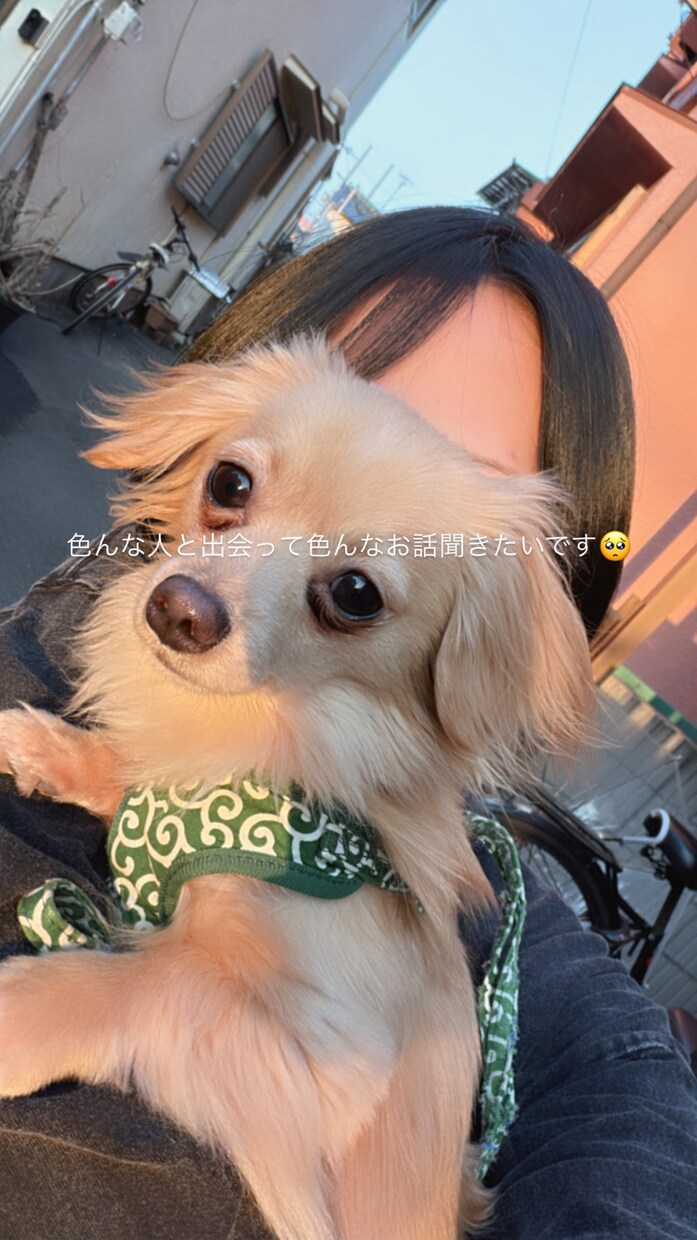 恋愛相談のります！優しく本音で聞きます なんでもOKです◎友達みたいに話せる感じで聞きます☺️ イメージ2