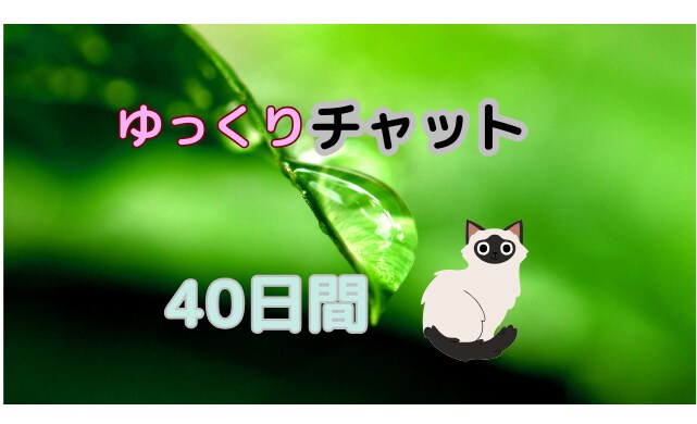 ４０日間いつもそばにいます 自由気ままなリラックスチャット イメージ1