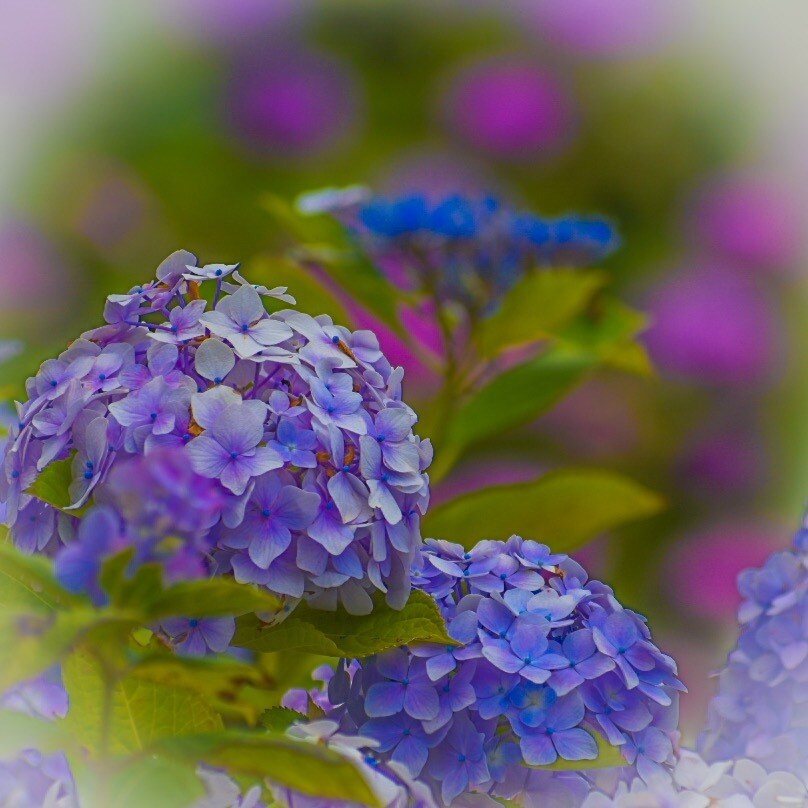 愛知県内の写真を代行して撮りに行きます 見たことない景色をあなたへ。。。 イメージ4
