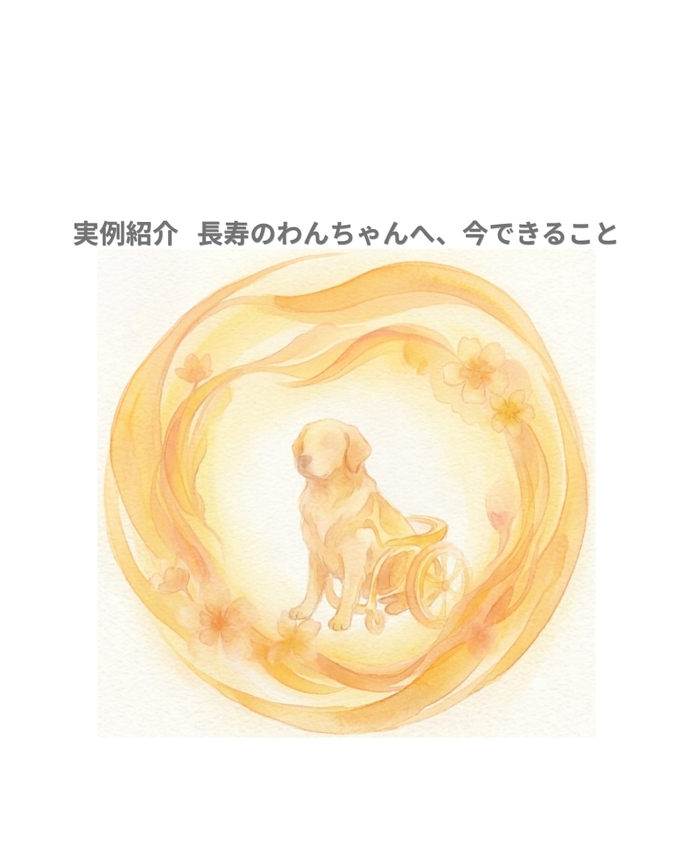 ペットの気持ちをアニマルコミュニケーションで視ます 限定特価中◆犬・猫・鳥・うさぎなどの動物を鑑定致します イメージ2