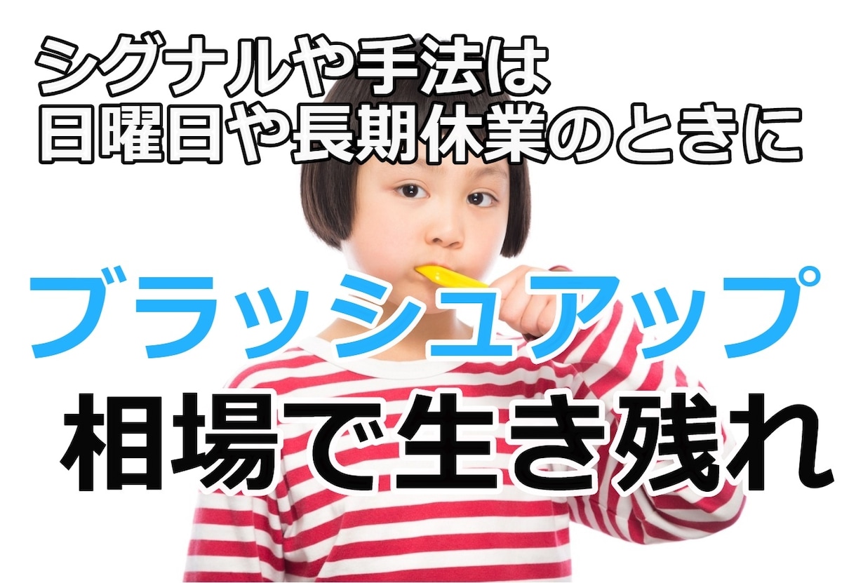 3ヶ月延長購入された方へサポートします ご購入後質疑応答の無料期間を終えた方向け イメージ2