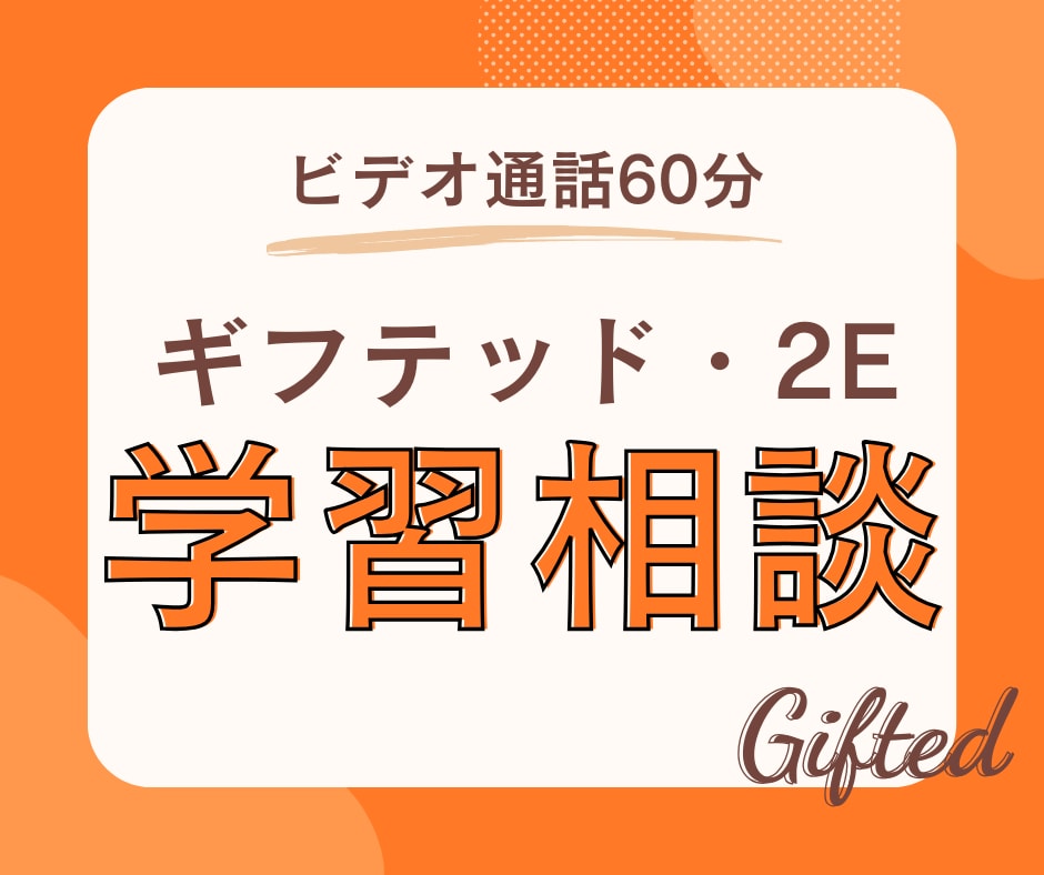 ギフテッド・2E児の学習のご相談に乗ります ギフテッド・2E当事者と一緒に答えを探しましょう イメージ1