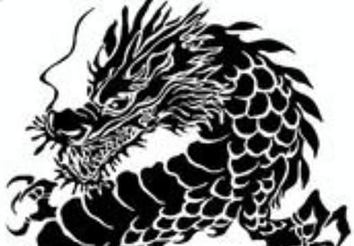 龍穴風ヒーリングでうまくいくを促進します 「上手くいく」と「うまくいかない」を扱うエネルギーワークです イメージ1