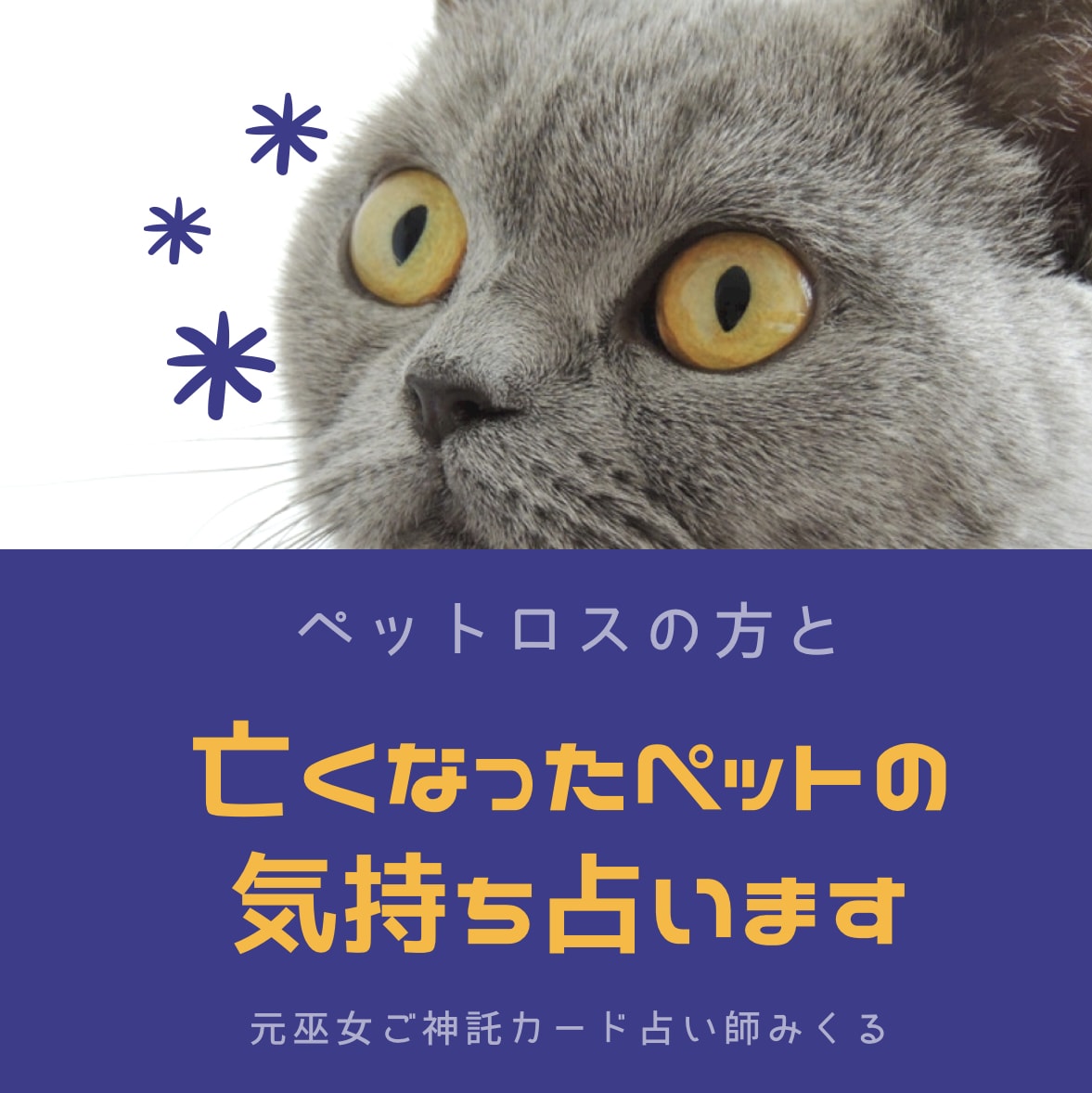 ペットロス・亡くなったペットのメッセージ占います ペットの種類は問いません。亡くなったペットからのメッセージ イメージ4