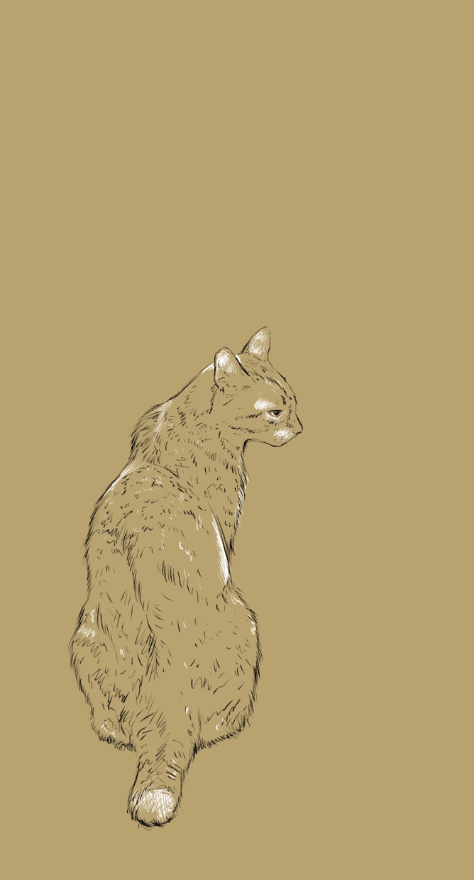 ペットのデータ画像をタブレット端末で手描きします ラフな鉛筆画風のスケッチに仕上げます。 イメージ2