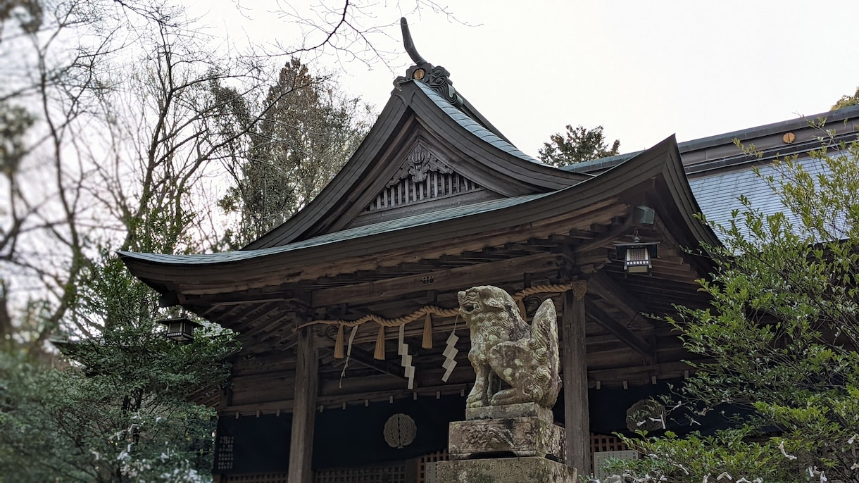 奇跡を願うお助け！徳島県の神社に代理参拝いたします 【代理参拝】あなたの代わりに、一生懸命に参拝いたします！ イメージ8
