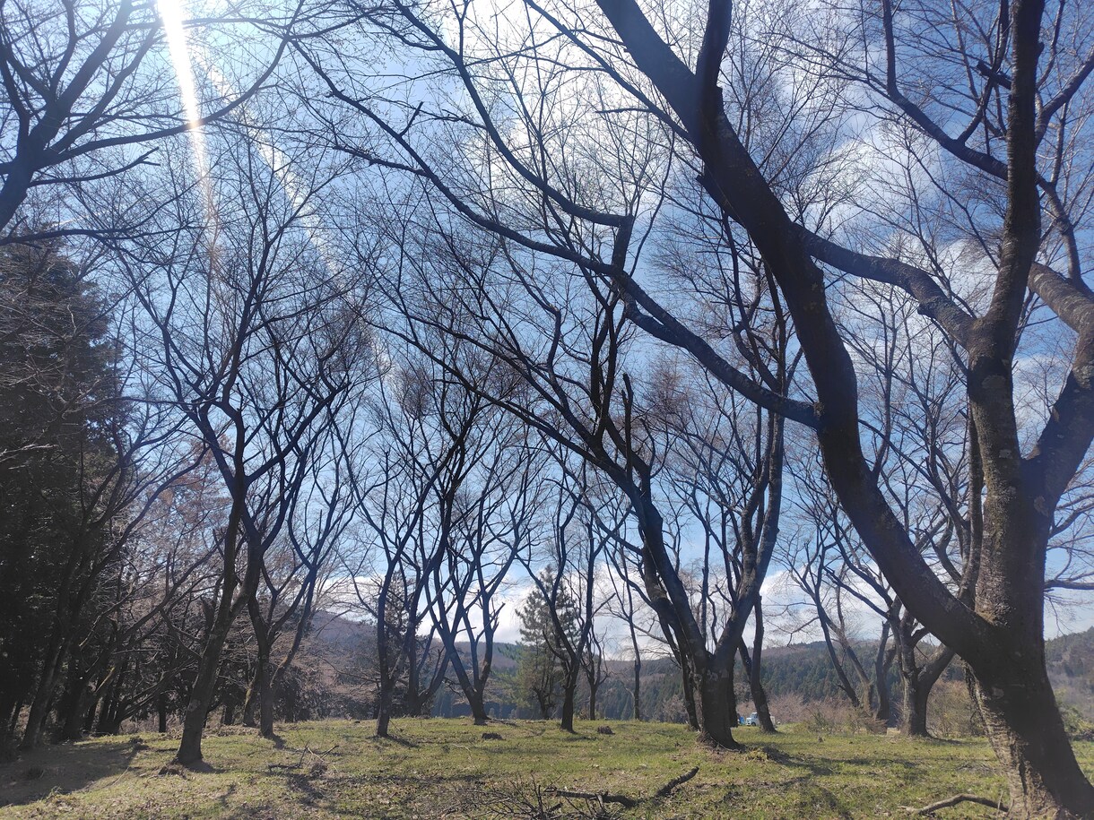 誰にも言えない事、打ち明けたい事じっくり聞きます 心のモヤモヤ話してください。秘密厳守です安心してください。 イメージ1