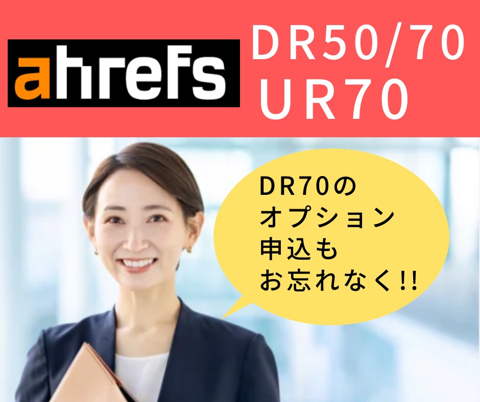 丸投げOK！SEO対策でドメインパワーを上げます 【激安価格】DR60↑DA30↑TF30↑基本指標を全攻略！ イメージ8