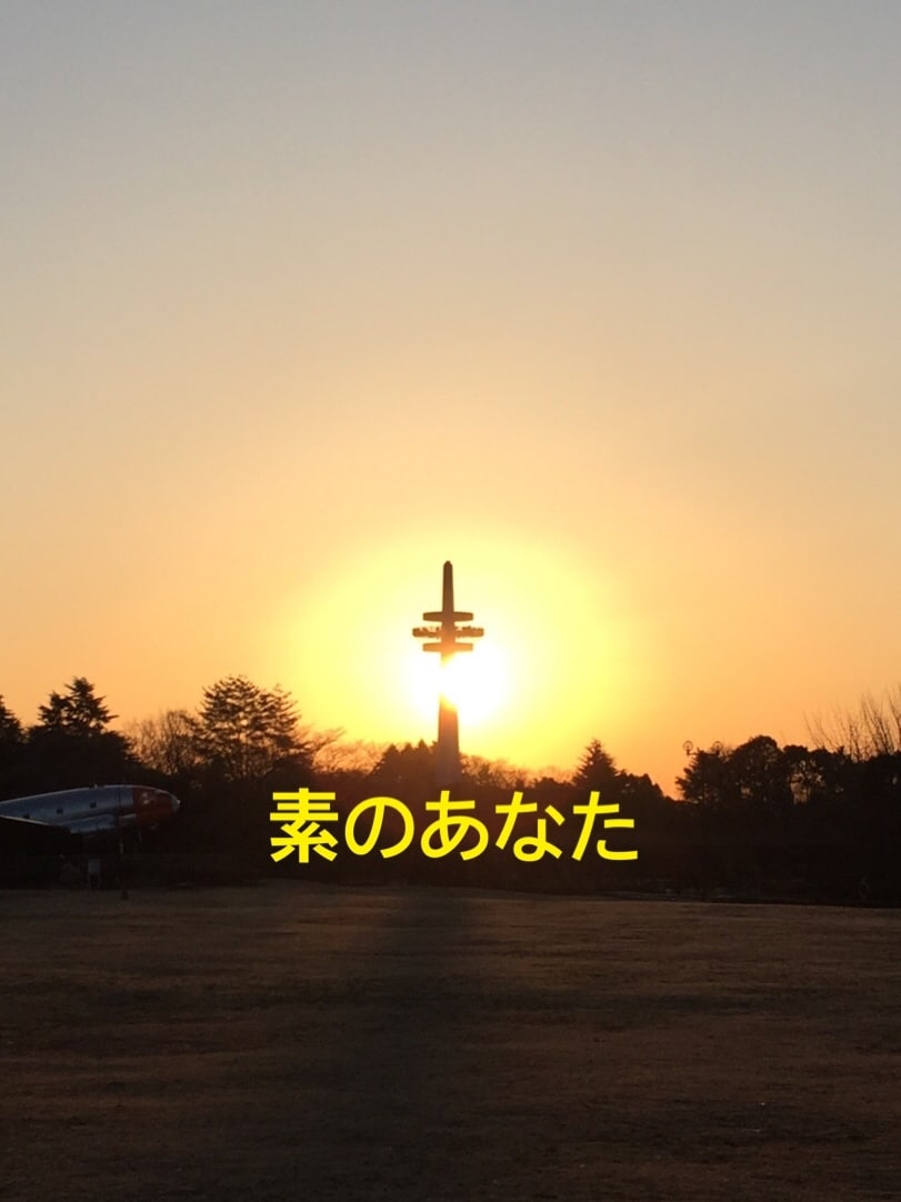 素のあなたに帰るお手伝いをします ☆ 私が鏡になり、素のあなたを映します イメージ2