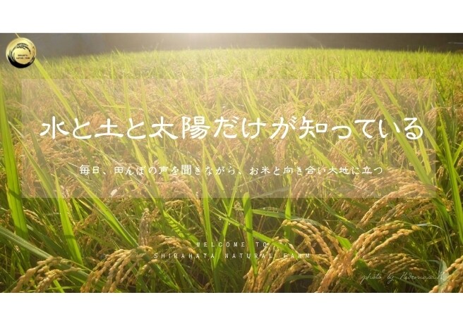 LINE公式アカウントの構築代行します 初心者さん歓迎|LINE公式の開設〜リッチメニューまで丸投げ イメージ5