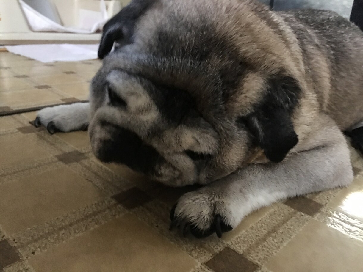 1人で悩まず一緒に解決していきます 悩みを解決して、楽しみながら毎日をすごしましょう イメージ1