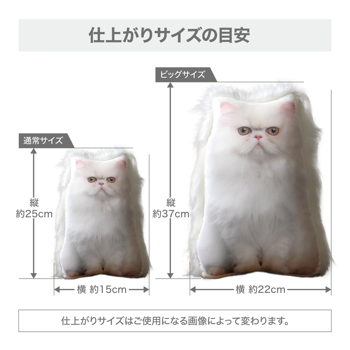 ペットロス　うちの子（犬　猫）のぬいぐるみ作ります 裏面のファーが、虹の橋を渡ったウチの子を撫でている様な感覚に イメージ5