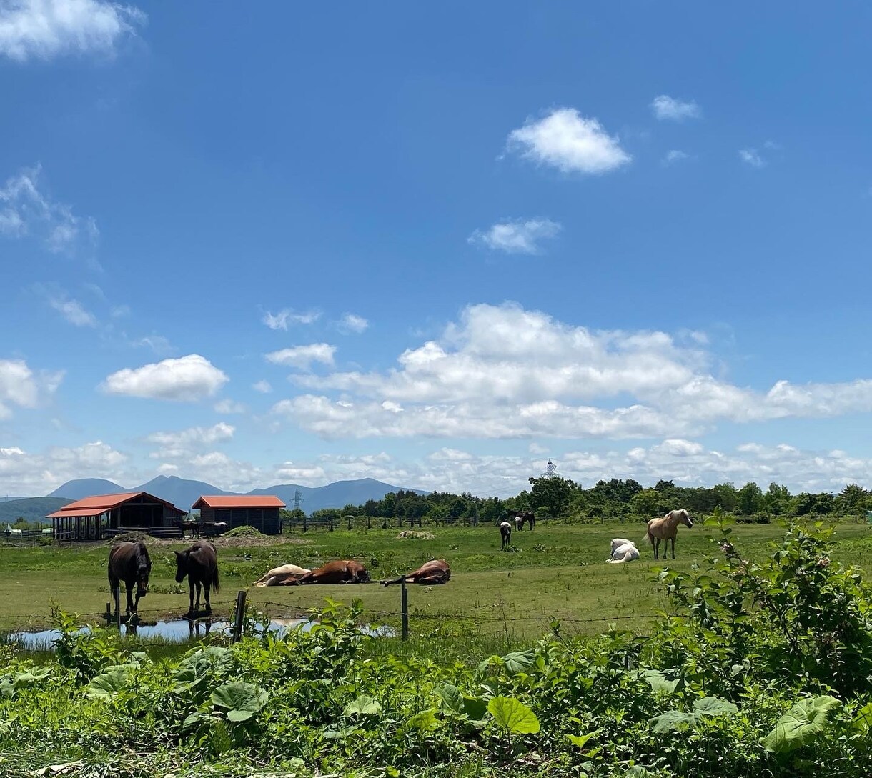 格安・スマホ撮影！青森県の写真撮影代行します 青森市在住の女性ライターが、青森・東北を撮影してきます♪ イメージ8