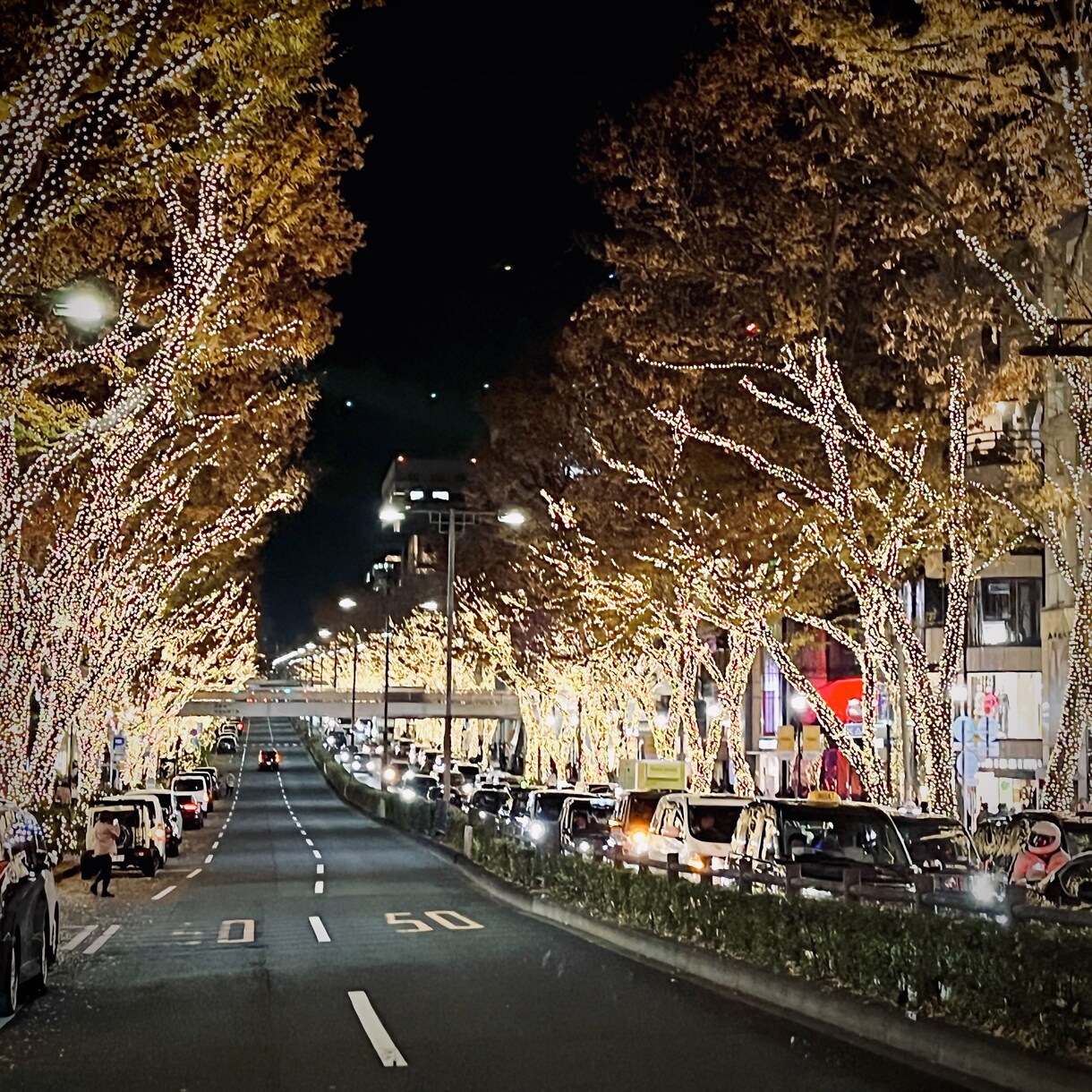 現役ウェディングフォトグラファーが撮影します 初めての方も大丈夫！あなたの魅力を写真で伝えませんか。 イメージ3