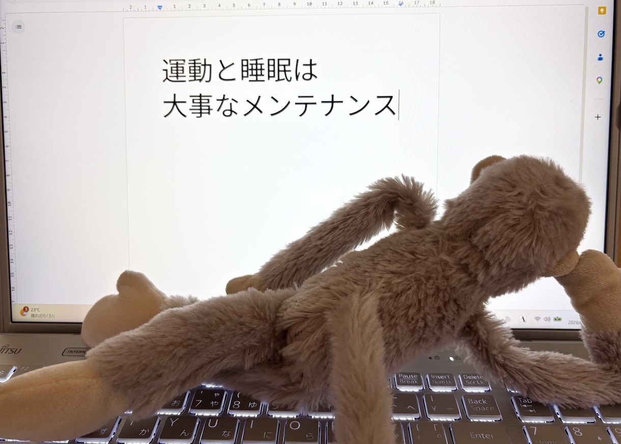 パニック発作や不安感のある瞬間に寄り添います 心理カウンセラー×パニック障害経験者が苦しみを共有します✿ イメージ8