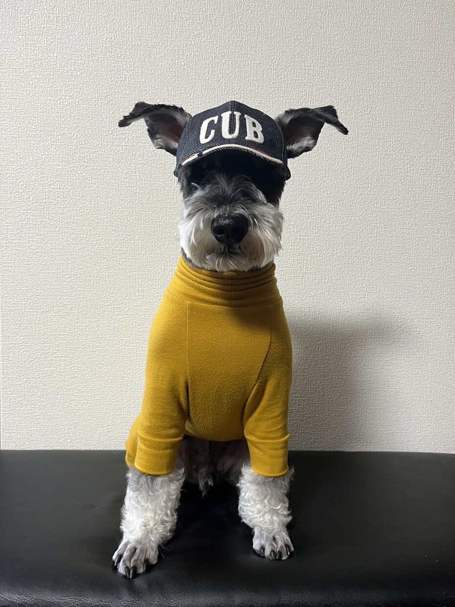 帽子・犬帽子の型紙作成します プロ仕様の正確な型紙をお作りしますミシン教室・作家さま歓迎 イメージ1