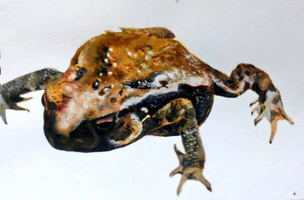 データ配送⚠爬虫類等の似顔絵お描き致します 爬虫類・両生類が好きな方、是非似顔絵を残してみませんか？ イメージ2