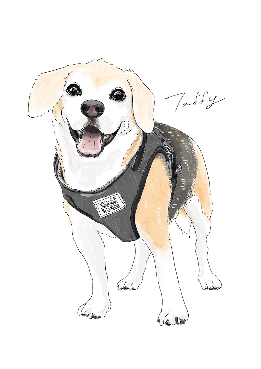 名前付き⭐︎シンプル可愛いペットイラスト描きます 犬/猫/ウサギ/ハムスターなんでも◎記念日やギフトに是非⭐︎ イメージ9