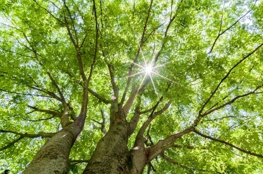 雑談、悩み相談承ります 暇な時。お悩みの時。リラックスしたい時。気軽にお話し下さい。 イメージ2