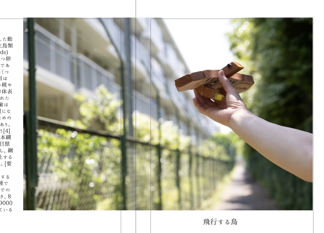 図工、ハンドメイド作品などおしゃれな写真で残します オプショナルで作品集の製本も可能です イメージ9