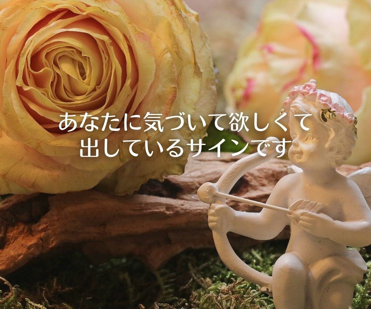 タロットであなたの幸せな未来をクリエイトします 心がモヤモヤ苦しい方こそ本当の幸せの入り口に立ってます イメージ8