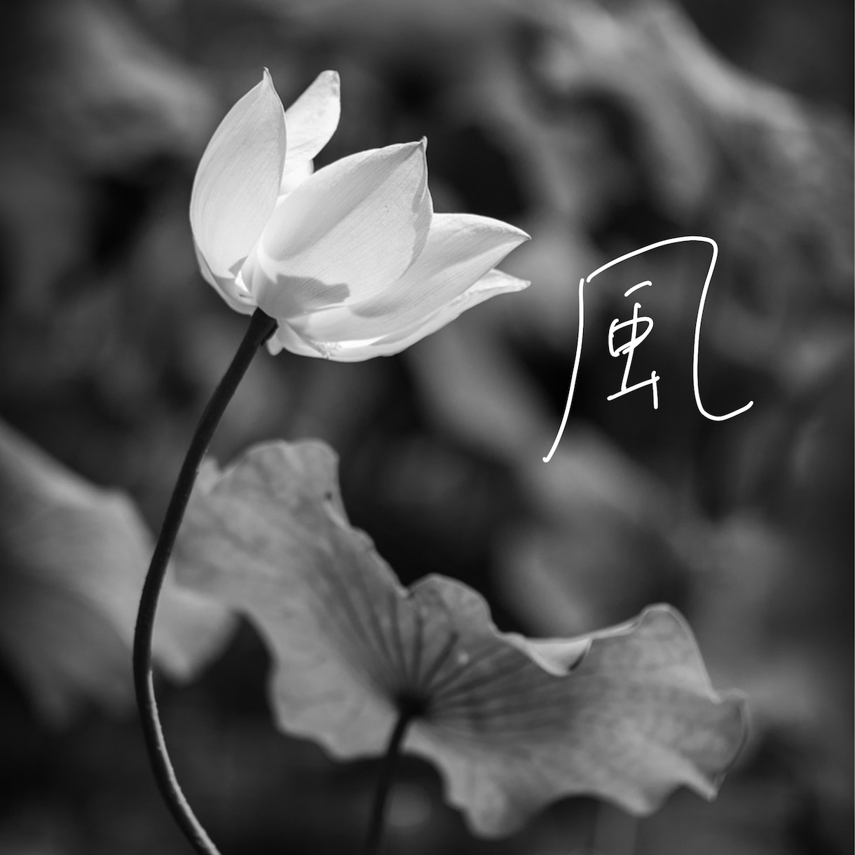 OP価格4500→￥3500優しい文字を提供します 落ち着いた字ふんわりした字優しい字 イメージ1