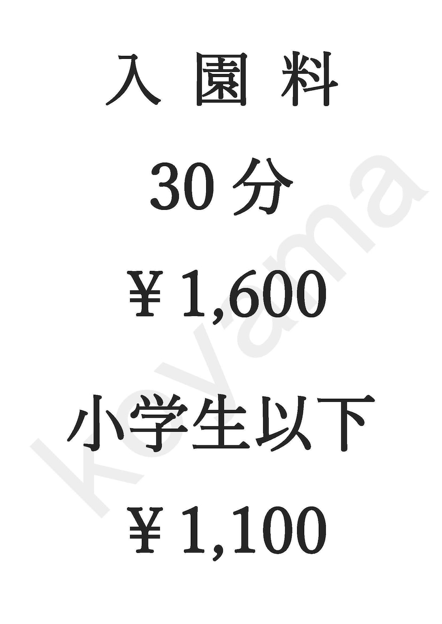 チラシ、メニュー、掲示等の作成を承ります 「シンプルで見やすく」を心がけています イメージ2