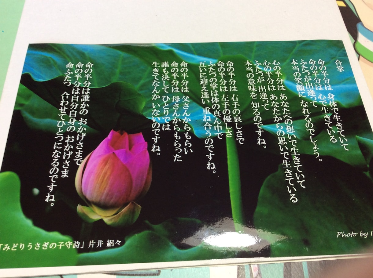 貴方のココロの棘をお抜きします 何も知らないワタクシにどうか聴かせて下さい、貴方の心。 イメージ1
