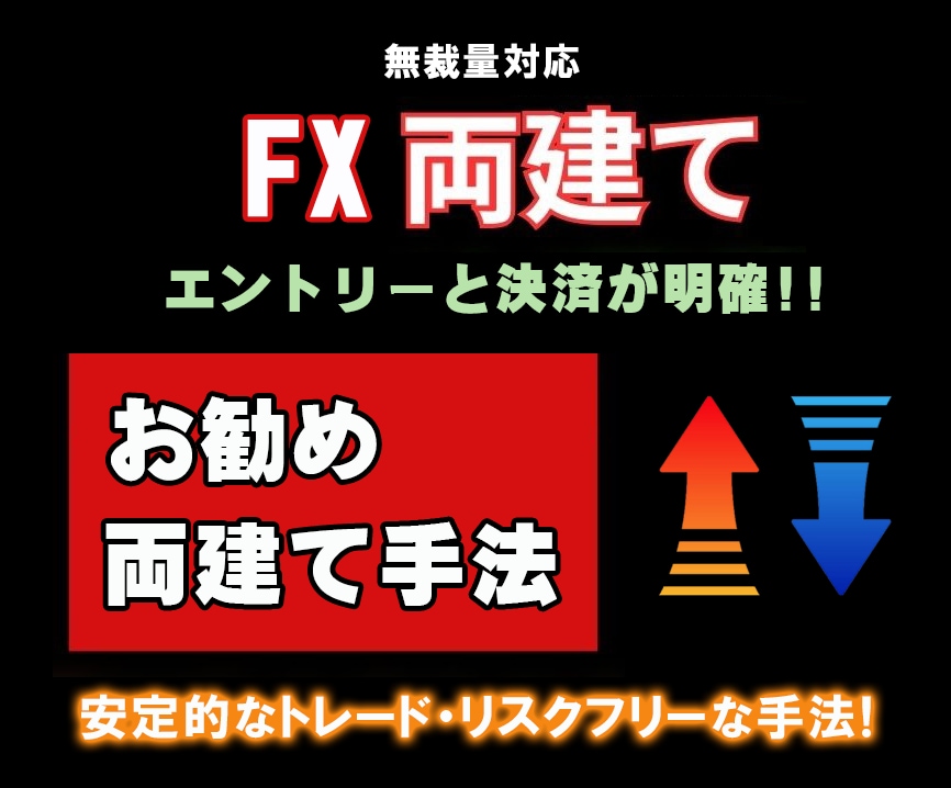 FX【お勧めの両建て手法】教えます 両建て手法の成果を目指す方法を解明しました。これでFXは完了 イメージ1