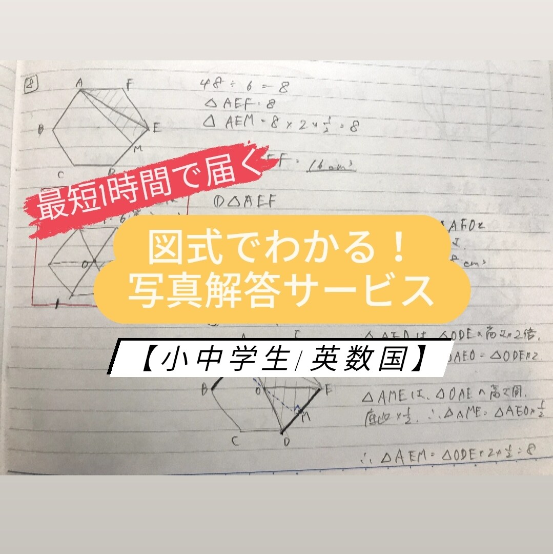 1枚250円～！チャット形式で小中学の勉強教えます 写真解答サービス/最短1時間以内/図式で解説/九大卒講師 イメージ1