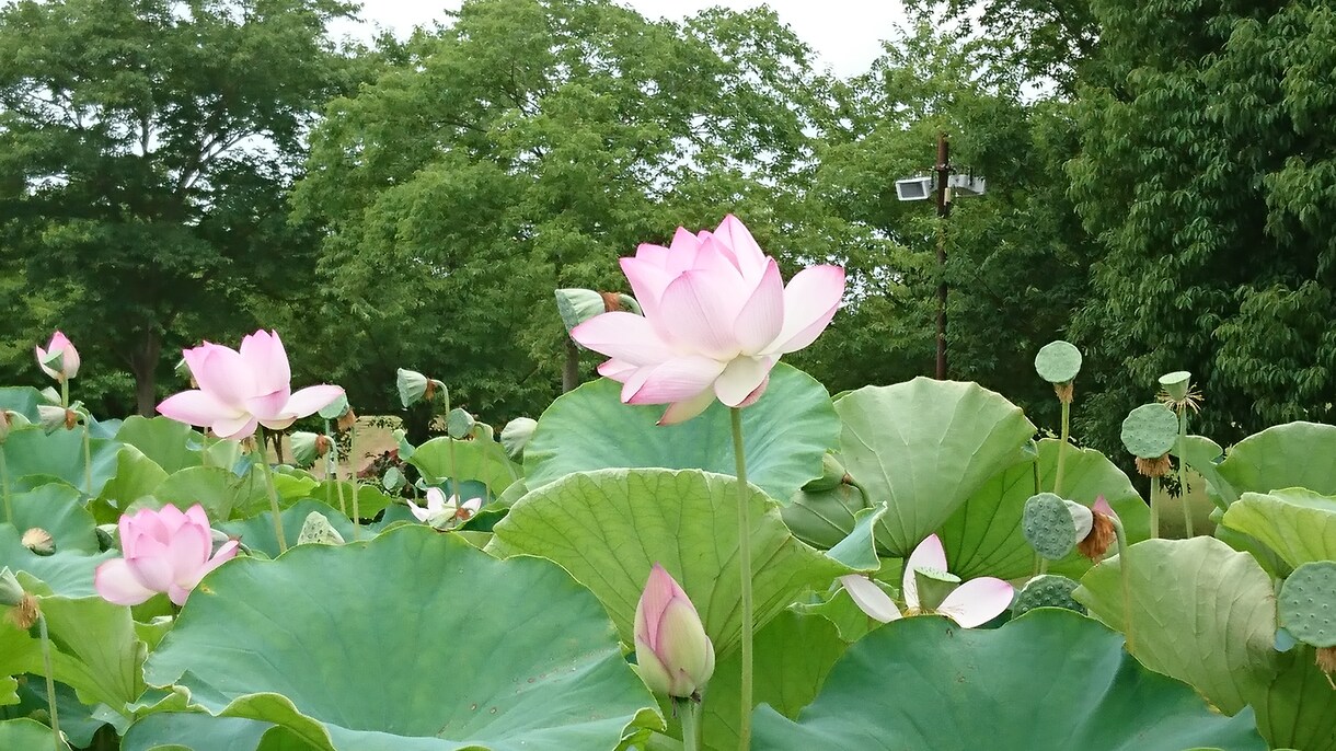 占い・悩み相談・愚痴聞きなんでも聞きます どんな話でもオッケーです！人に言えない話も否定せず聞きます！ イメージ1