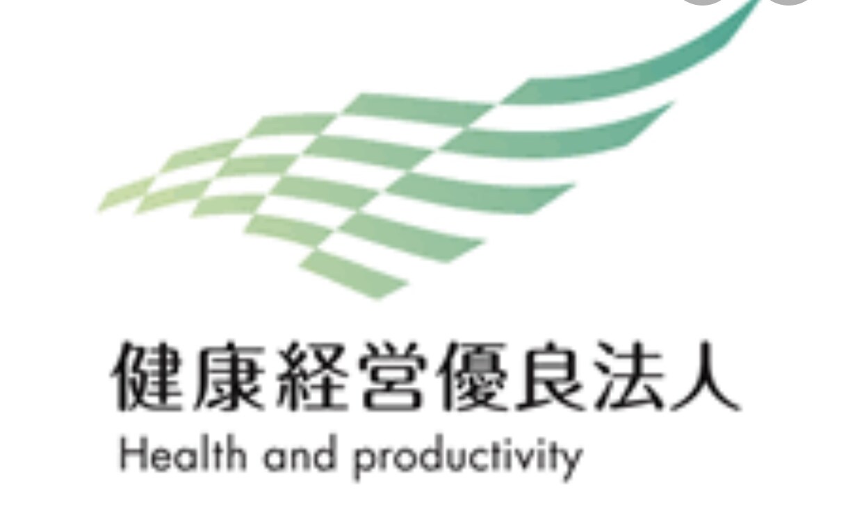 健康経営優良法人2027申請のお手伝いします 人事総務衛生管理担当者向け＊調査票/申請書の添削します イメージ2